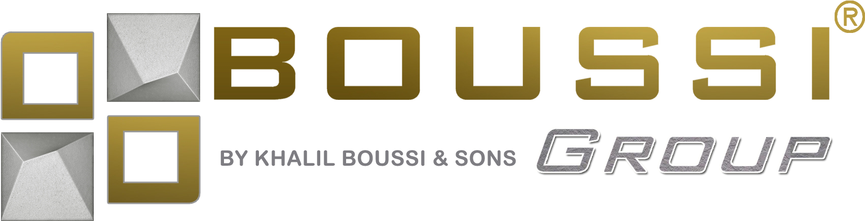 Boussi Group Logo