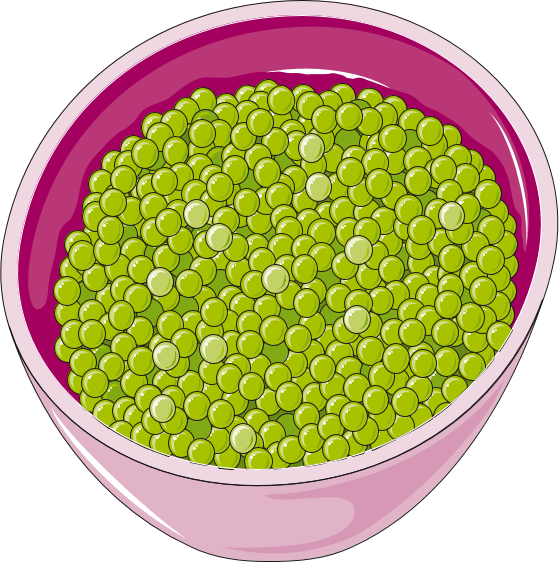 Bowlof Green Peas Illustration