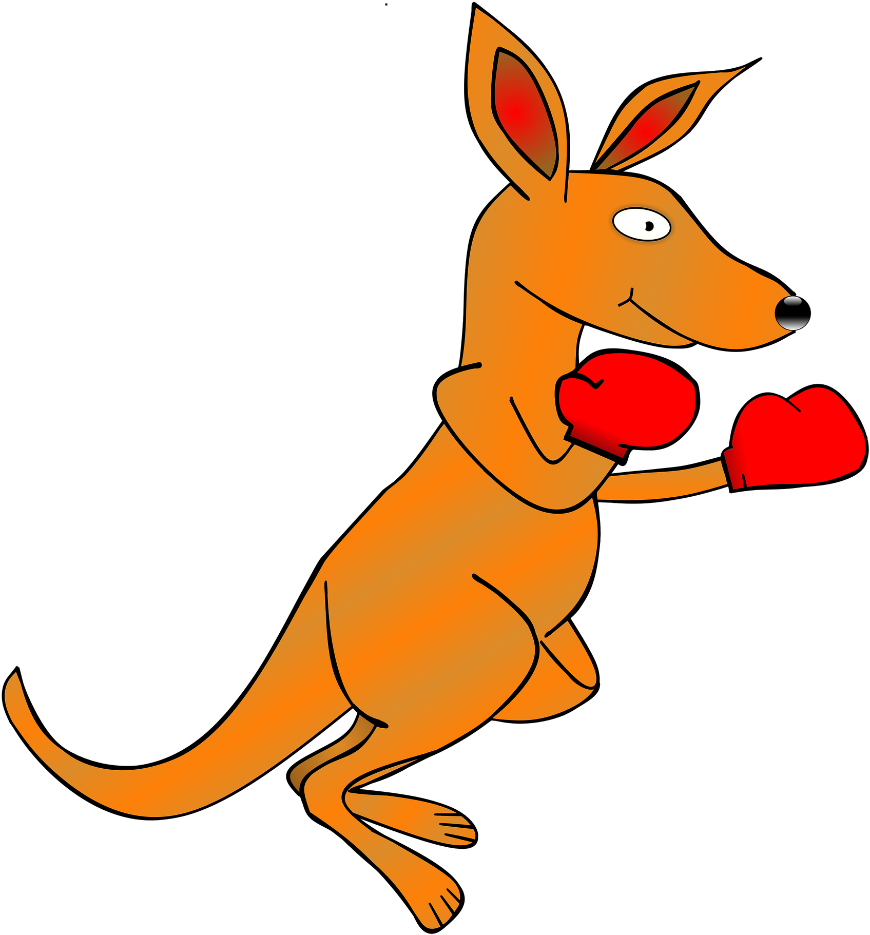 Boxing Kangaroo Cartoon