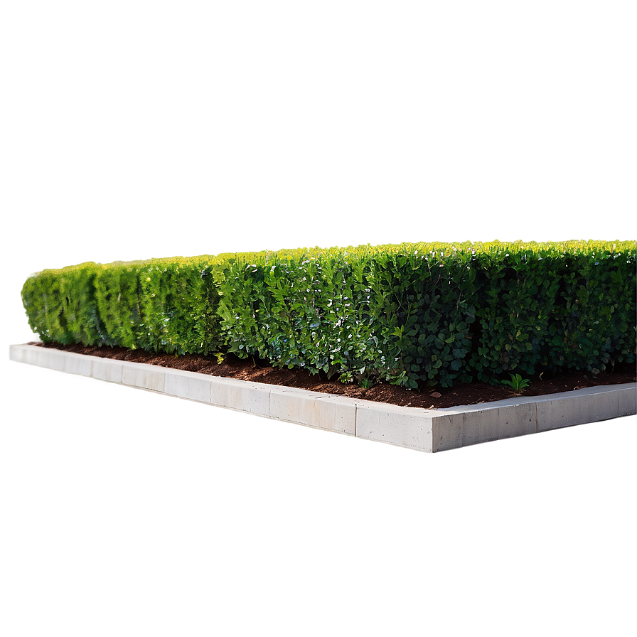 Boxwood Edging Png Pfx54