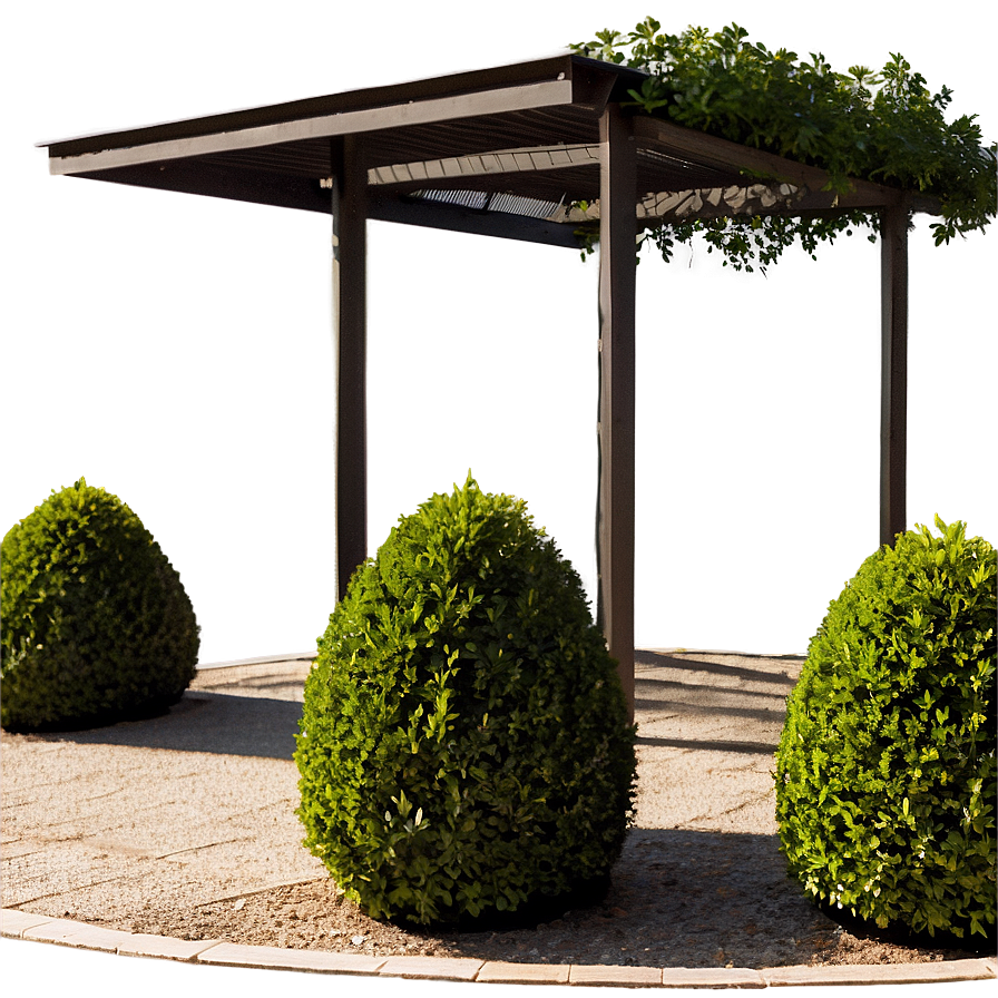 Boxwood Garden Png 06212024