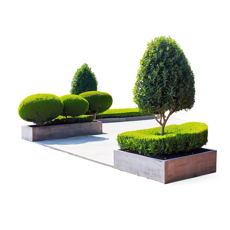 Boxwood In Landscape Design Png 72