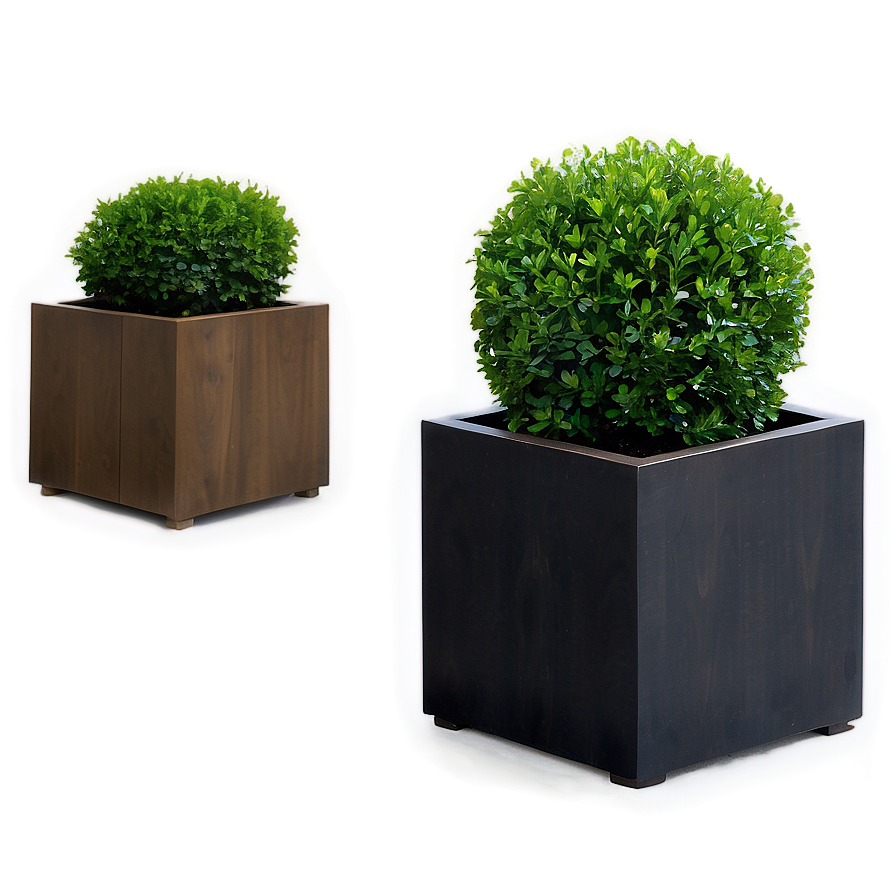 Boxwood Planter Png 06212024