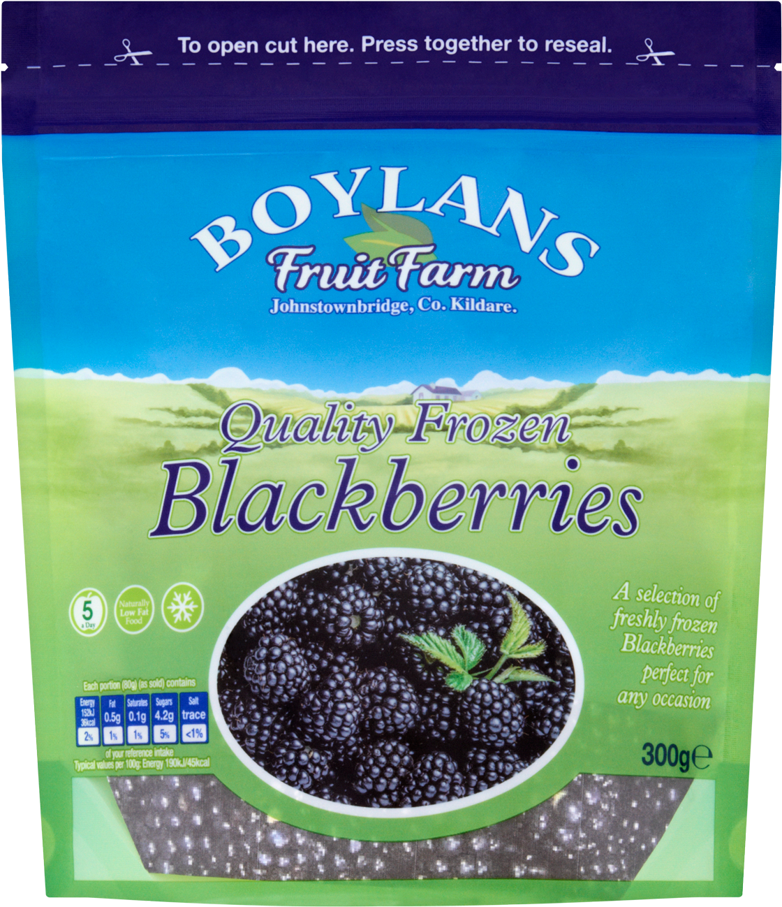 Boylans Frozen Blackberries Packaging