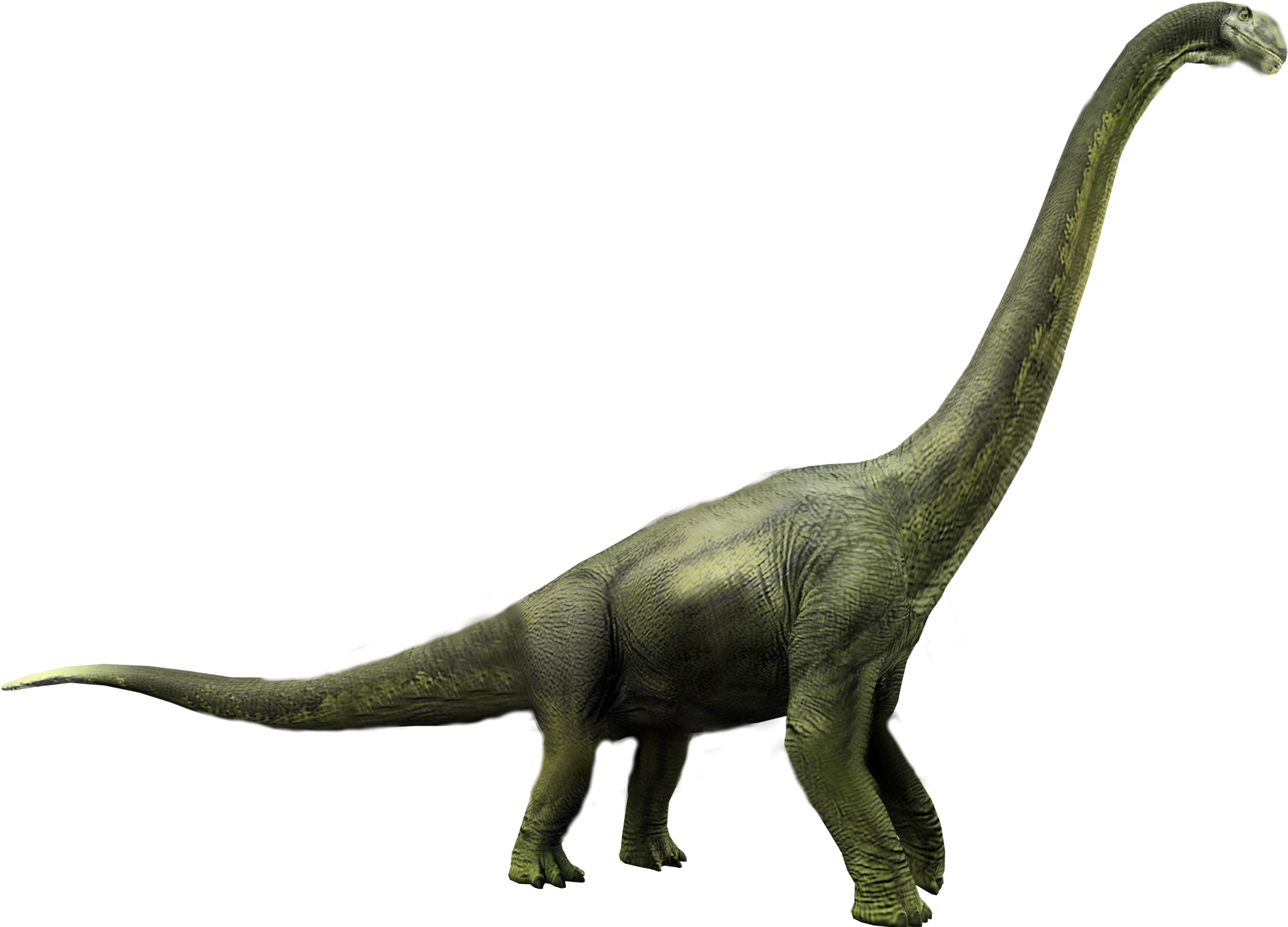 Brachiosaurus Jurassic World Dinosaur Render