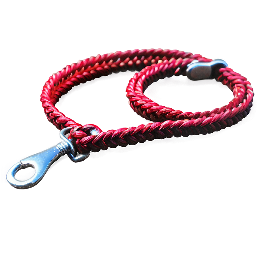 Braided Dog Leash Png Ljv