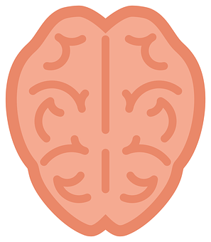 Brain Illustration Graphic