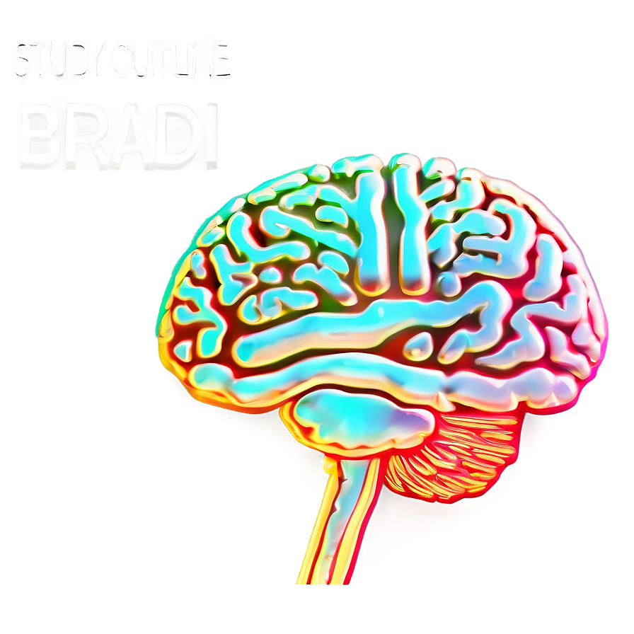 Brain Outline For Study Png 93