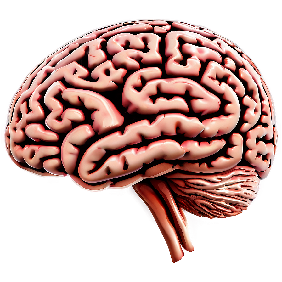 Brain Outline Vector Png Mdu87