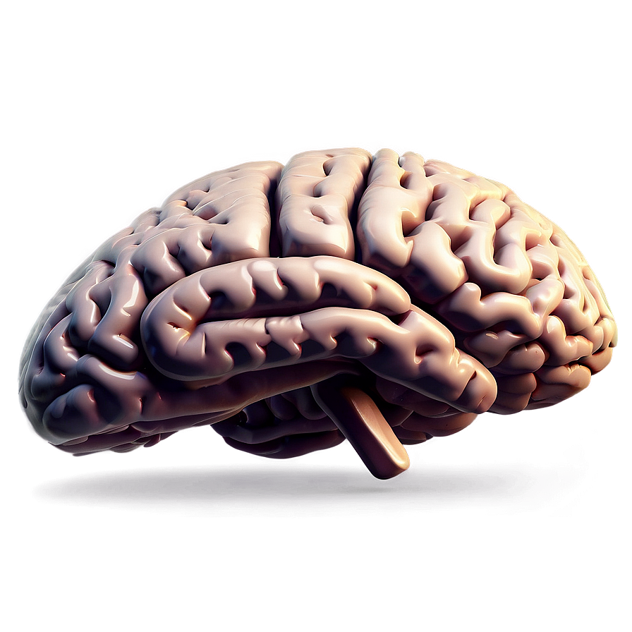 Brain Power Illustration Png Jst