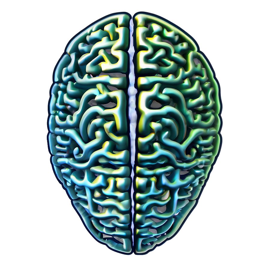 Brain Structure Outline Png 12