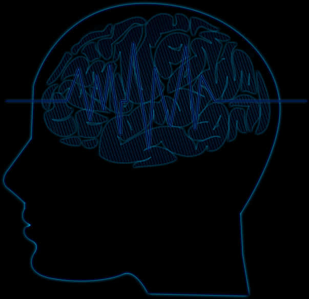 Brainwave Activity Outline