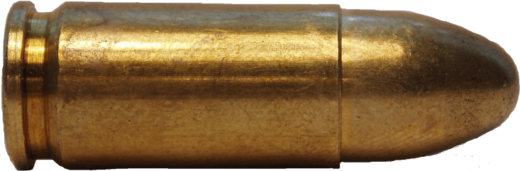 Brass Bullet Cartridge