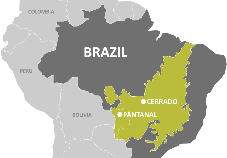 Brazil Ecoregions Map Cerrado Pantanal