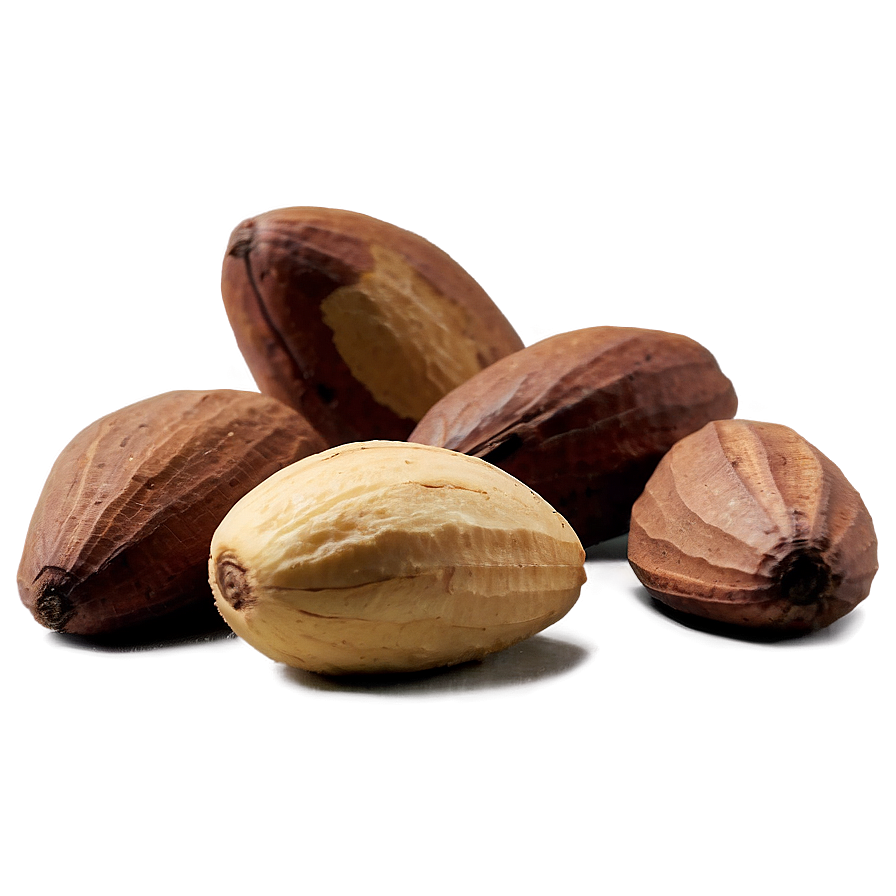 Brazil Nut Png 46