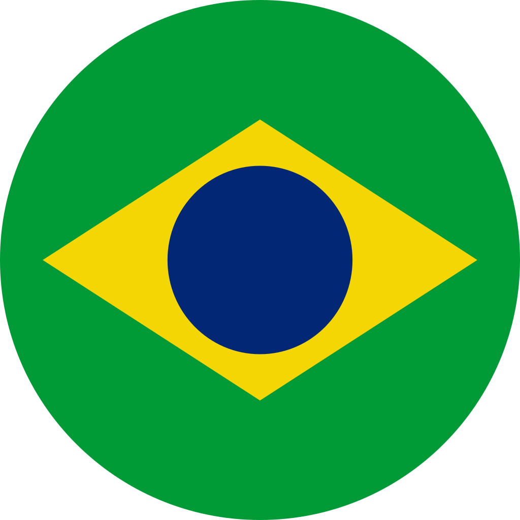 Brazilian Flag Graphic