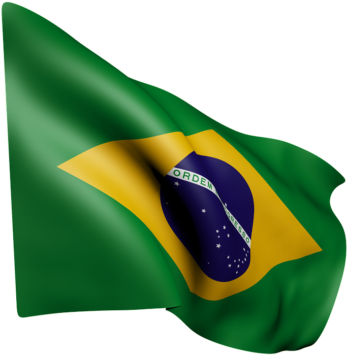 Brazilian Flag Waving