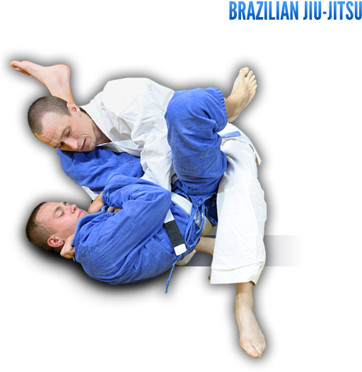 Brazilian Jiu Jitsu Training Session