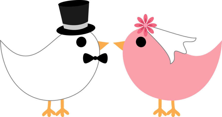 Brideand Groom Birds Illustration