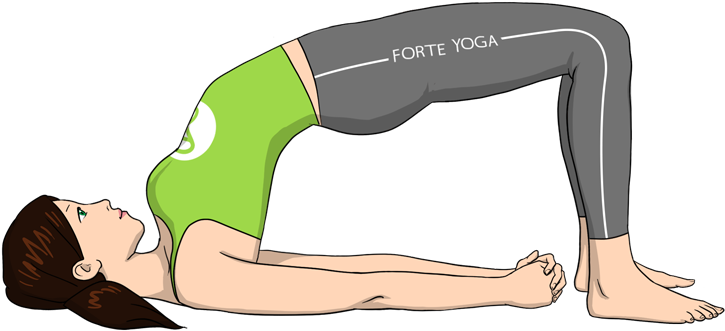 Bridge Pose Yoga Position Illustration