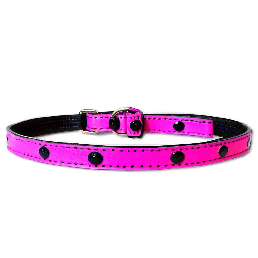 Bright Colored Dog Leash Png 86