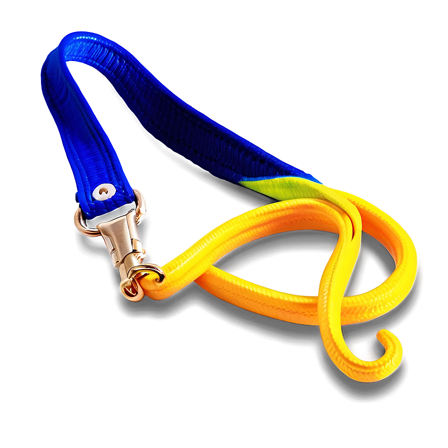 Bright Colored Dog Leash Png Evh