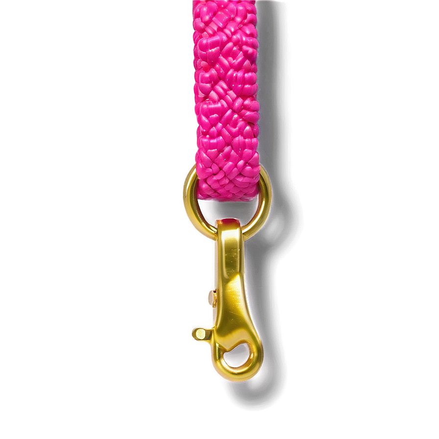 Bright Colored Dog Leash Png Tjr