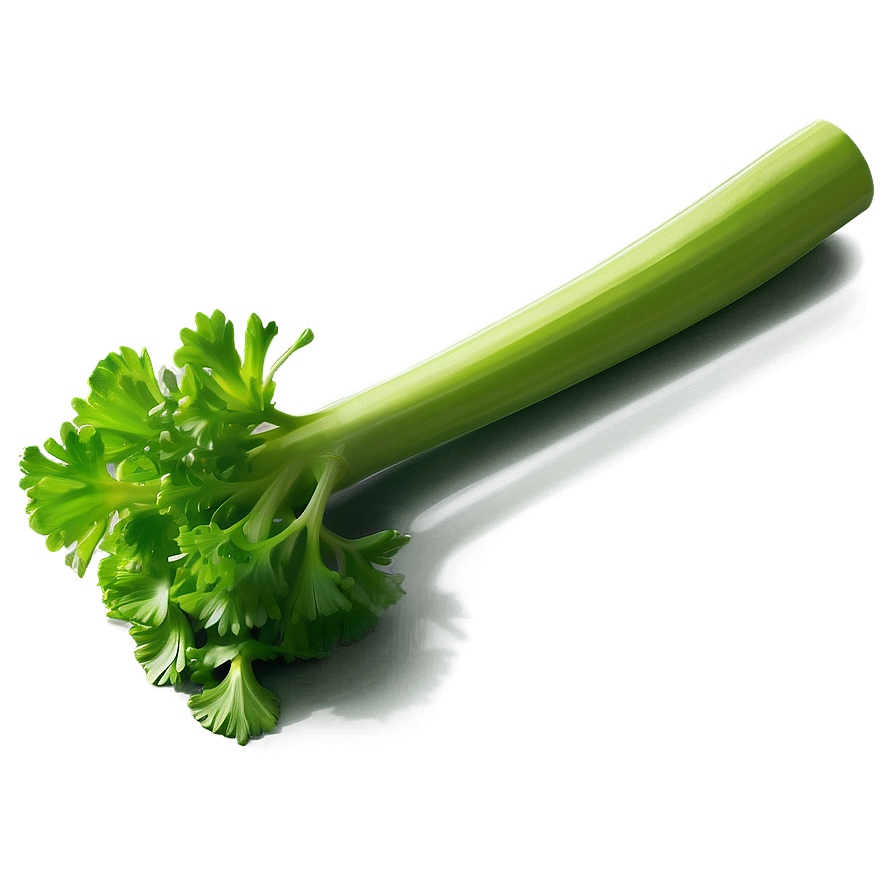 Bright Green Celery Png 06252024