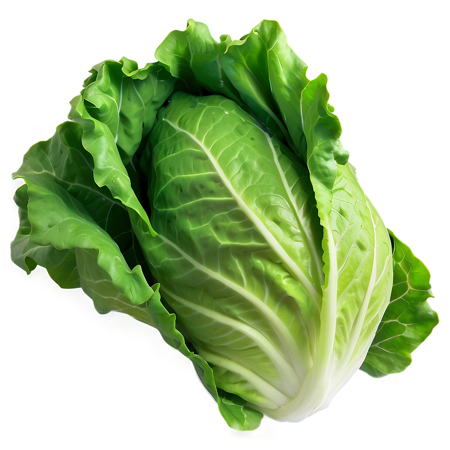 Bright Green Lettuce Png 05242024