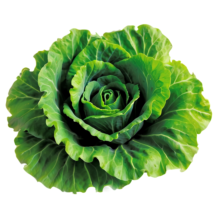 Bright Green Lettuce Png Oge97