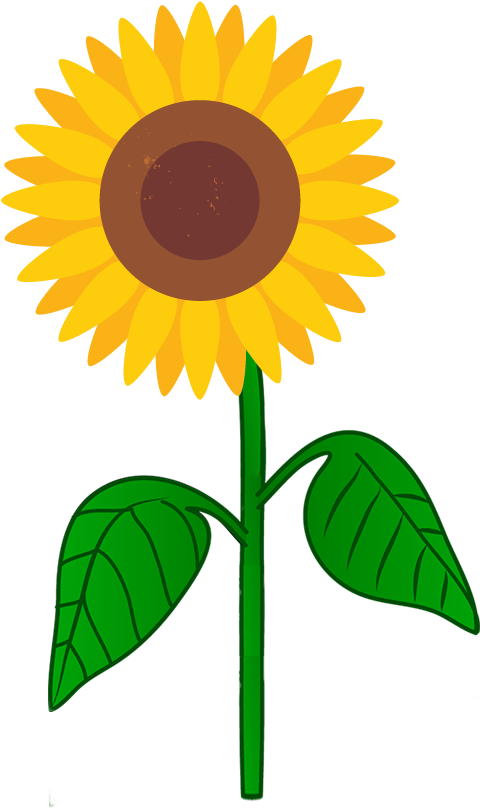 Bright Sunflower Clipart