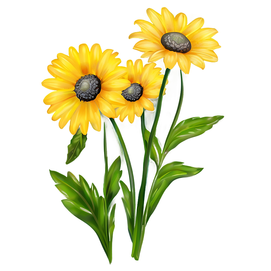 Bright Yellow Daisy Clipart Png 06292024