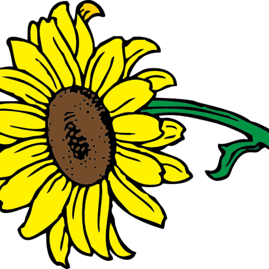 Bright Yellow Sunflower Clipart