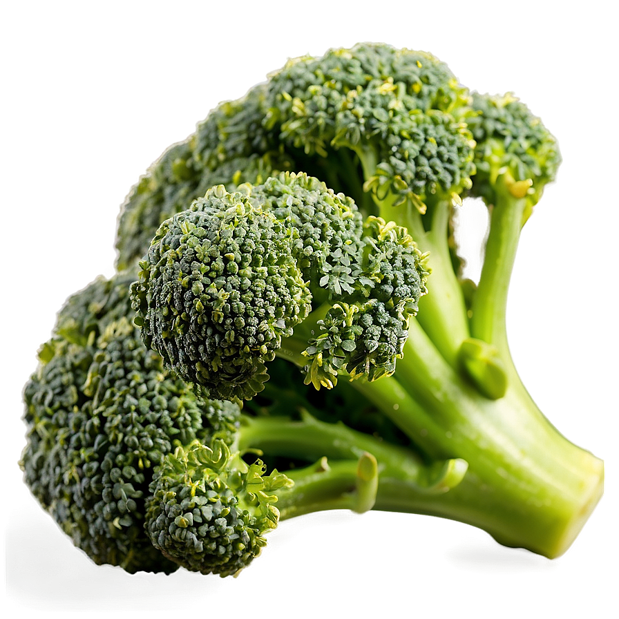 Broccoli Floret Close-up Png Xos