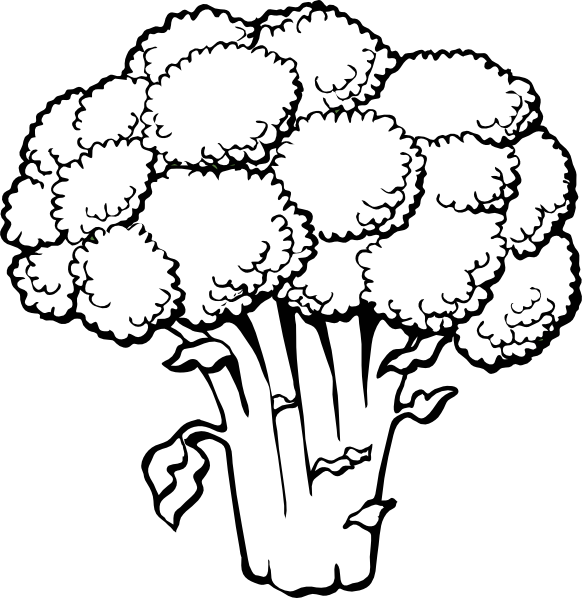 Broccoli Line Art Illustration