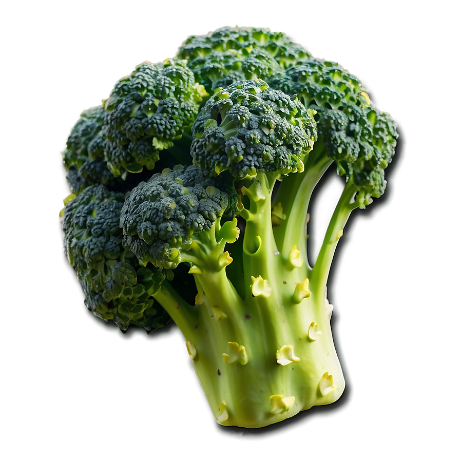 Broccoli Plant Png 05232024