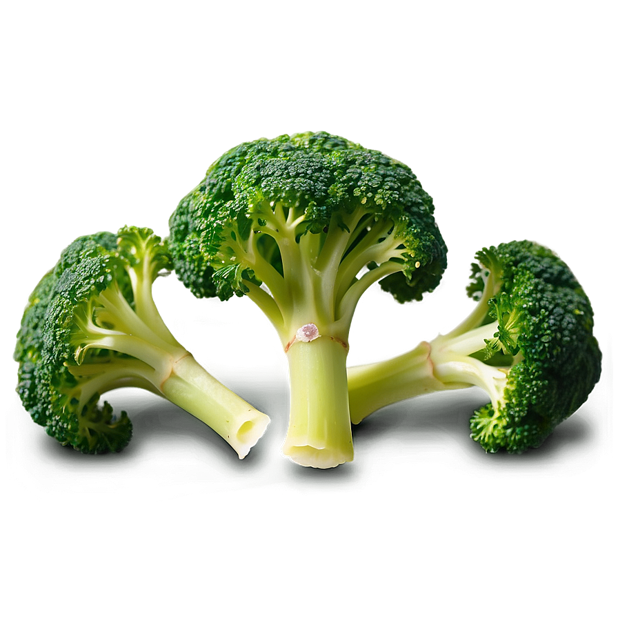 Broccoli Sprouts Png Mqj58