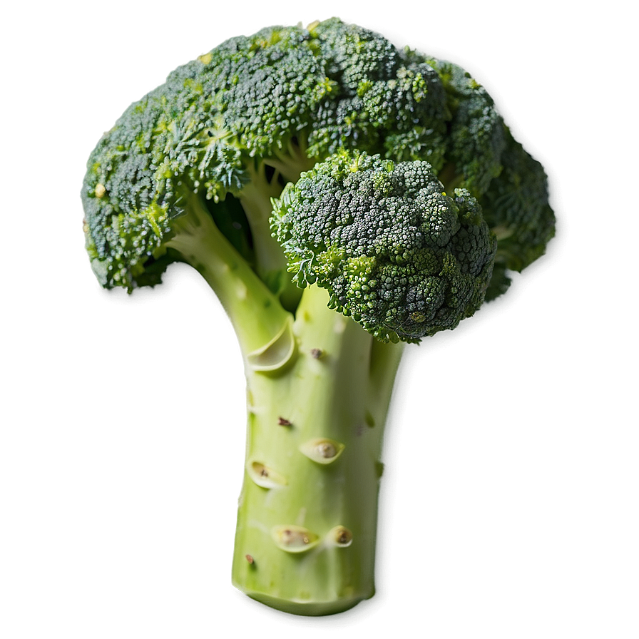 Broccoli Top View Png 53