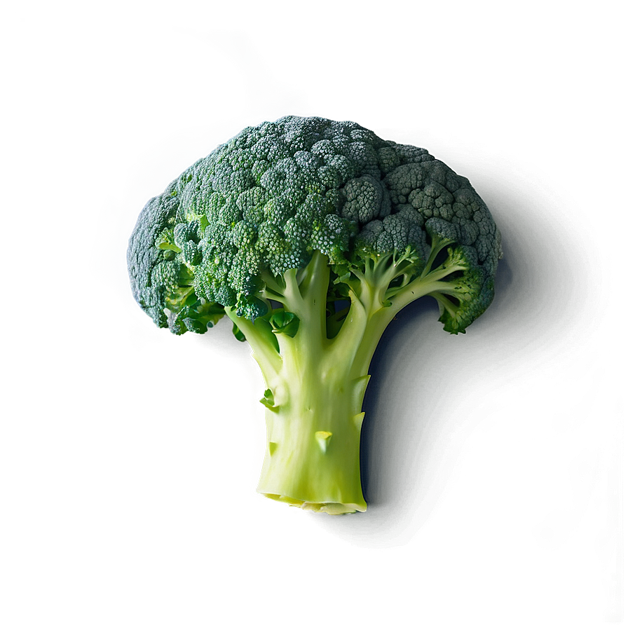 Broccoli Top View Png Cqp