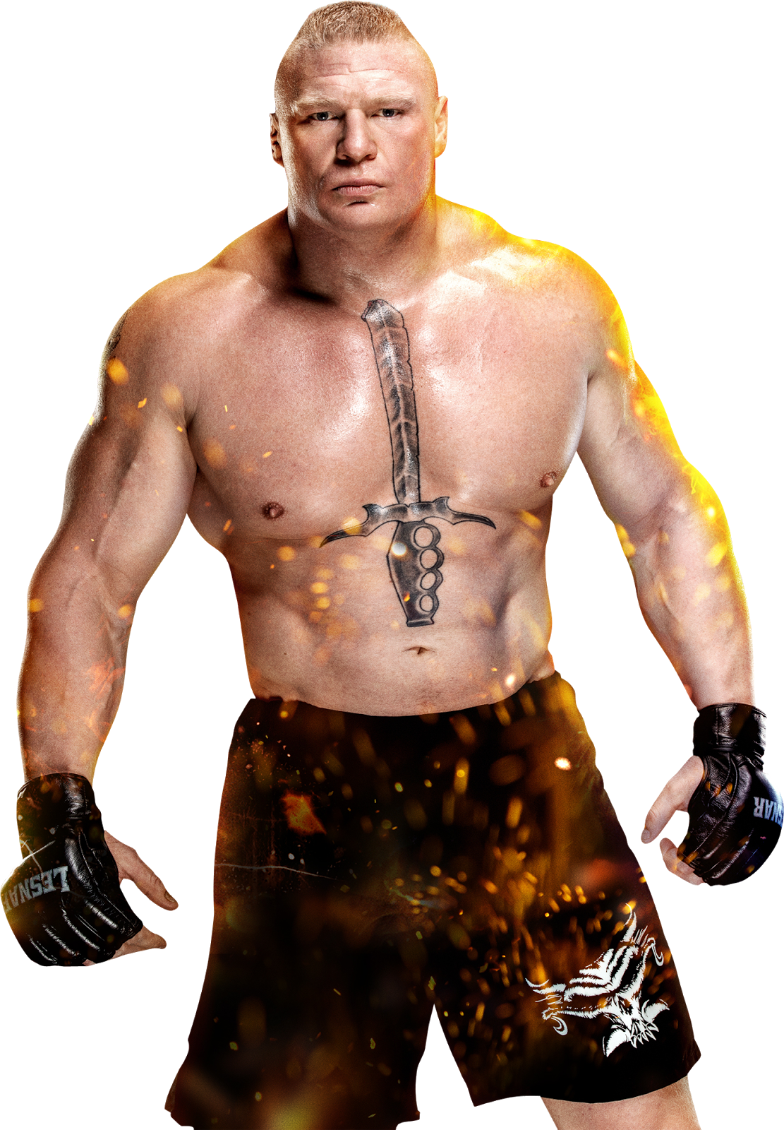 Brock Lesnar Fighter Stance