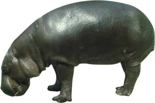 Bronze Hippopotamus Sculpture