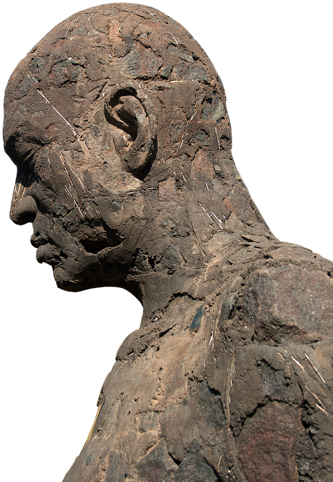 Bronze Sculpture Profile View