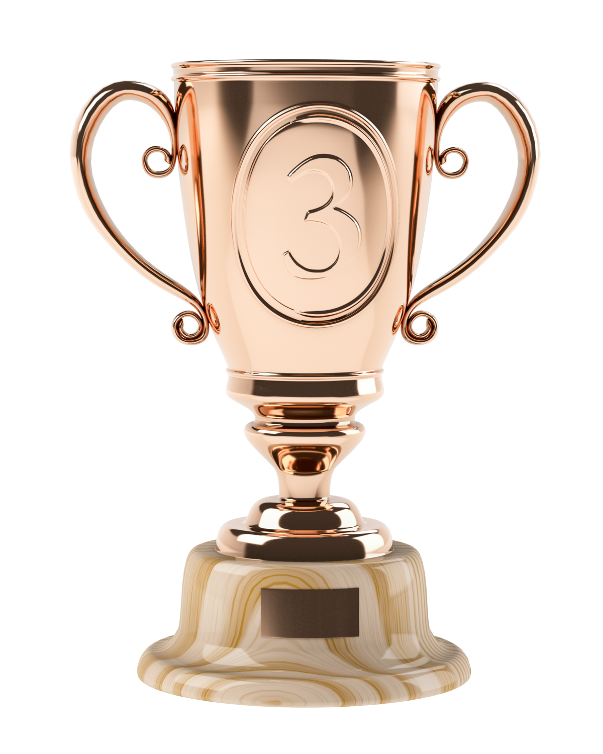 Bronze Trophy Number Three