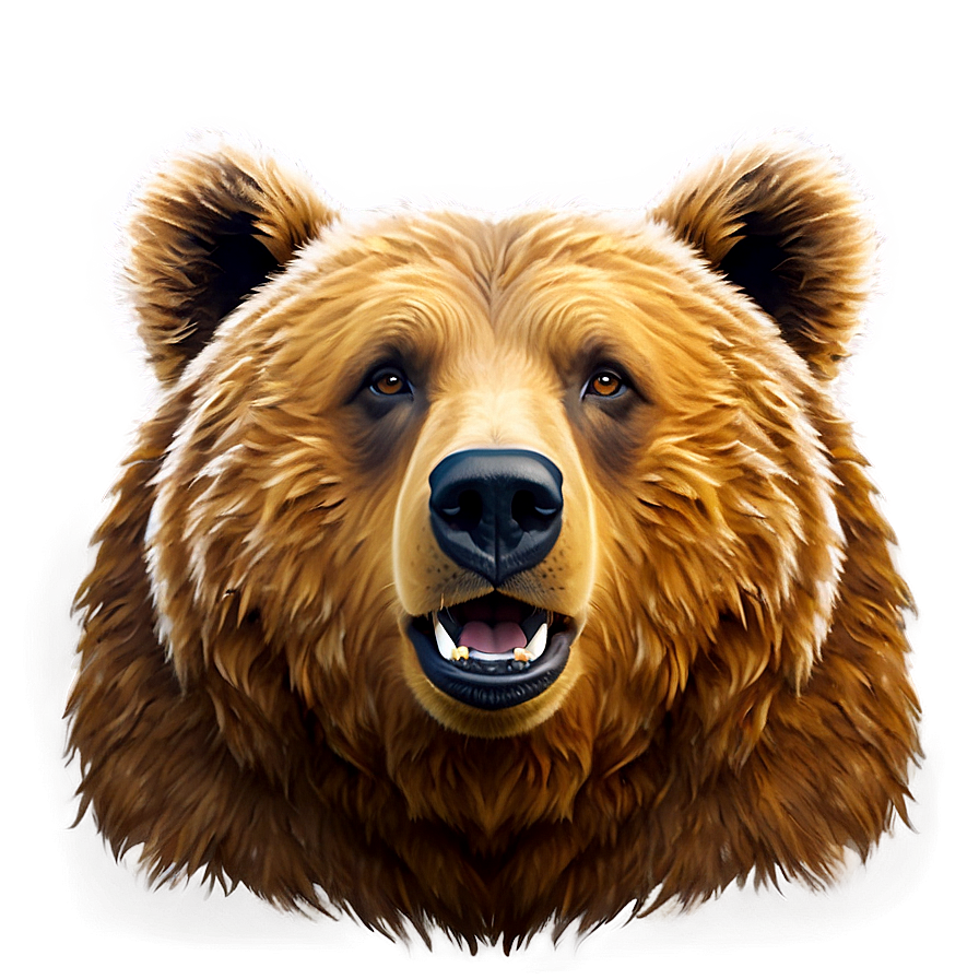 Brown Bear Face Design Png 06292024