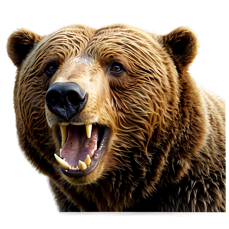 Brown Bear Head Artwork Png Jxn