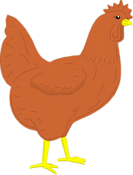 Brown Chicken Illustration