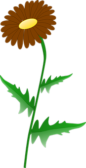 Brown Daisy Illustration