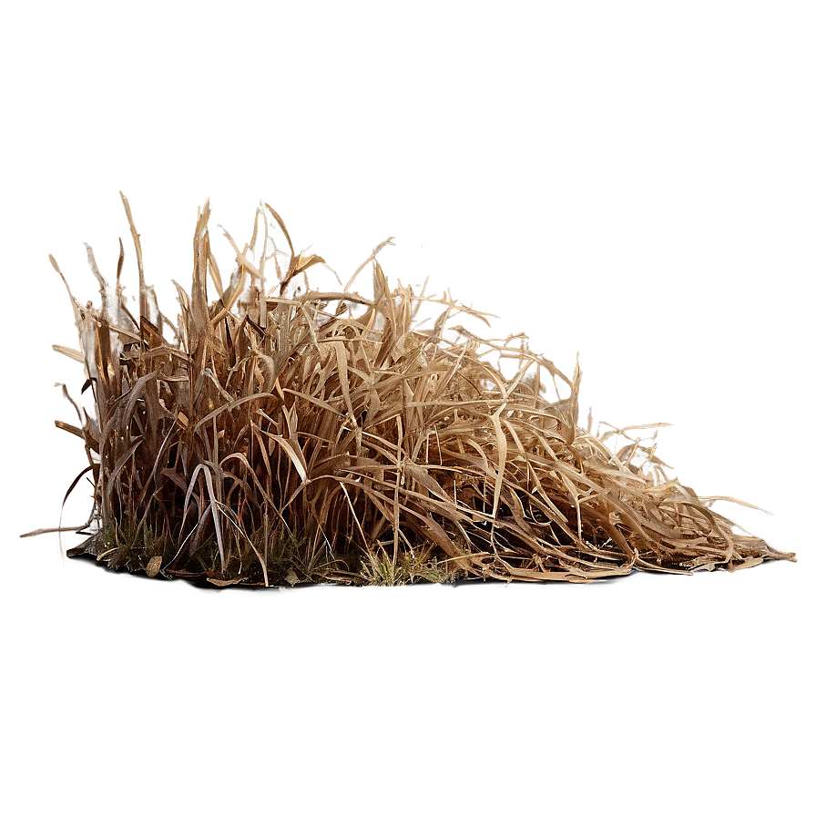 Brown Dead Grass Png Udt