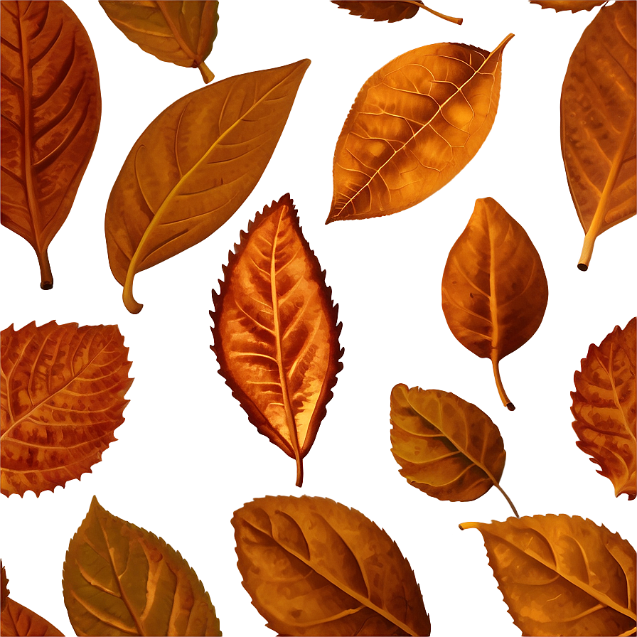 Brown Leaf Png 05032024