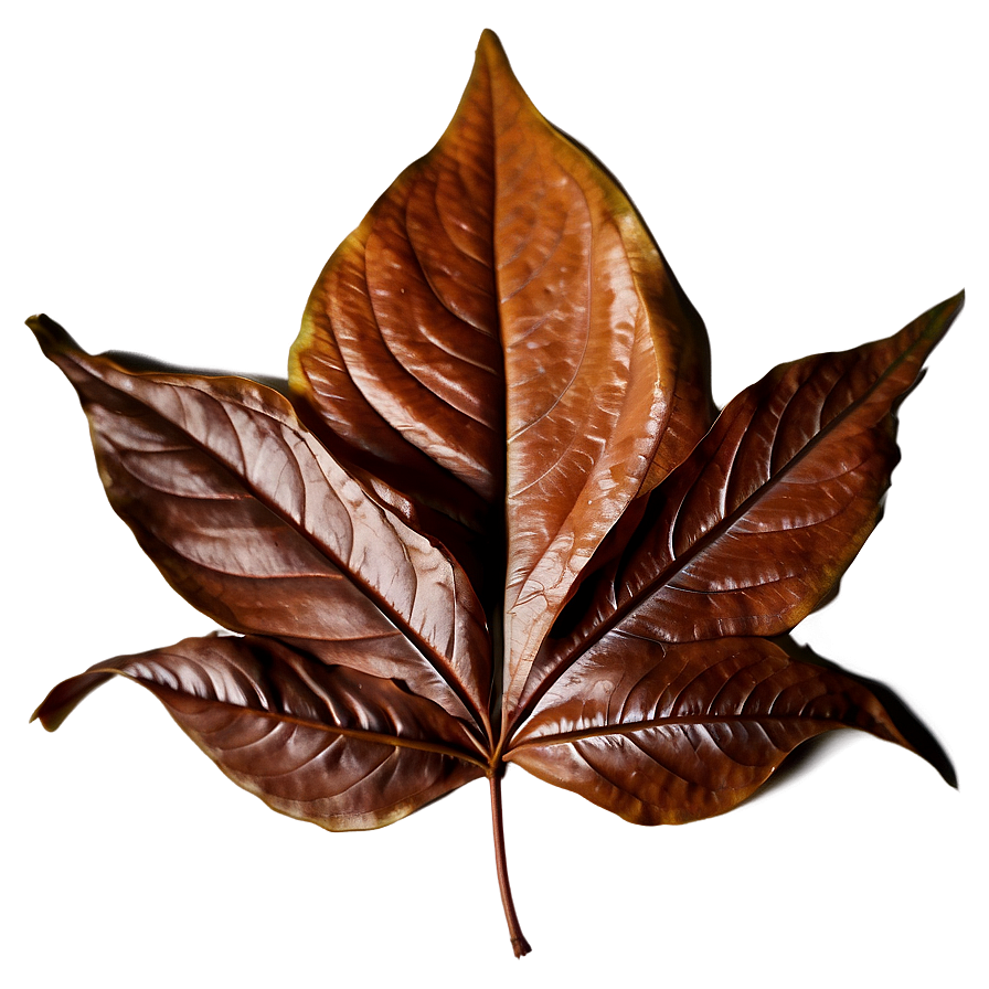 Brown Leaf Png Crn5